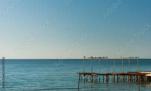 Seagulls perched on the posts of the old pier, sea and sky.