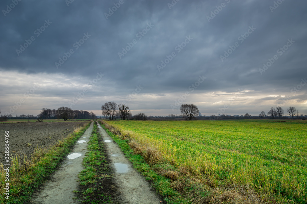 Dirt road between arable fields, view on a cloudy day