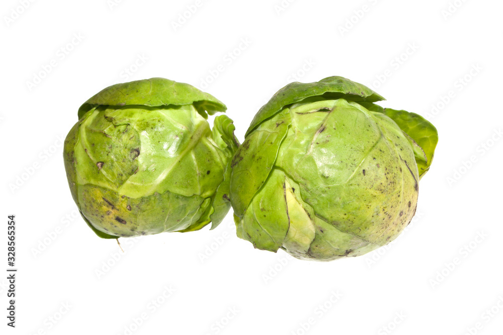 Fototapeta premium cabbage isolated on white background