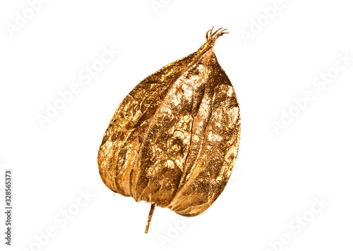 dry flower bud isolated on white background photo