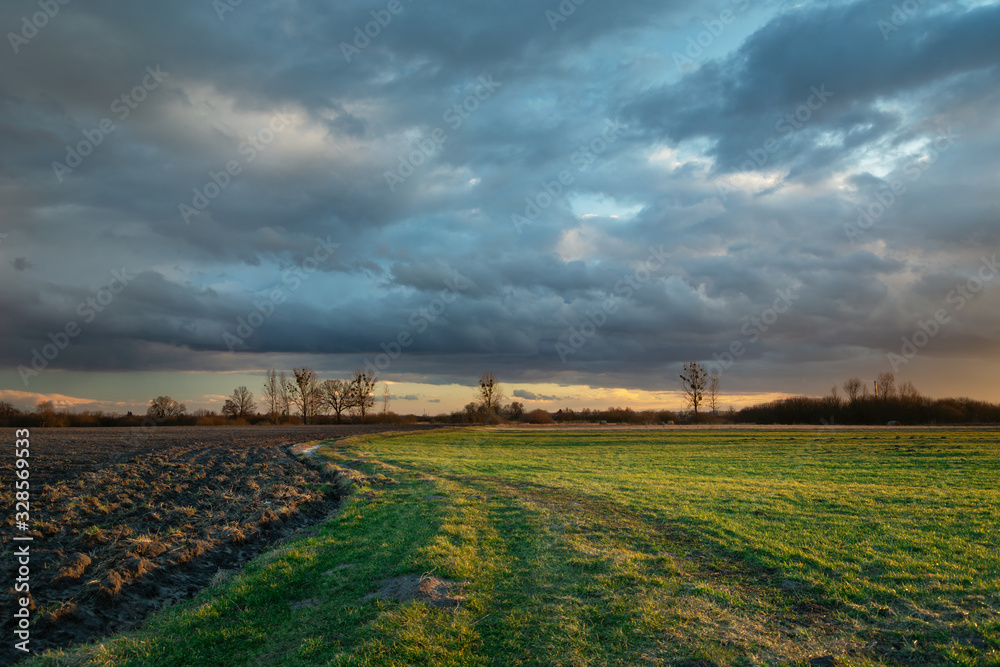 Dynamic storm clouds on sky backlit by sunset, green meadow and field