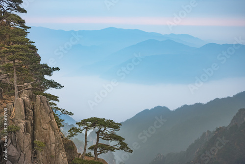 Photography Yellow Mountain or Huangshan great mountain Cloud Sea Scenery landscape with fog, rock, tree, East China Anhui Province
