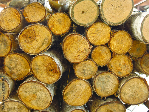 birch logs close-up sections stacked in a pile