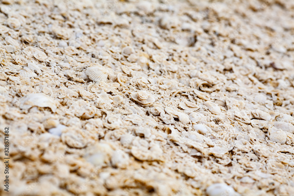 Stone porous texture with splashes of shell rock. Brickwork of a shell rock. Background structure. Stone porous texture with splashes of shell rock. Brickwork of a shell rock. Background structure.