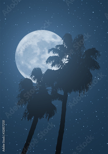 nice moon and palms