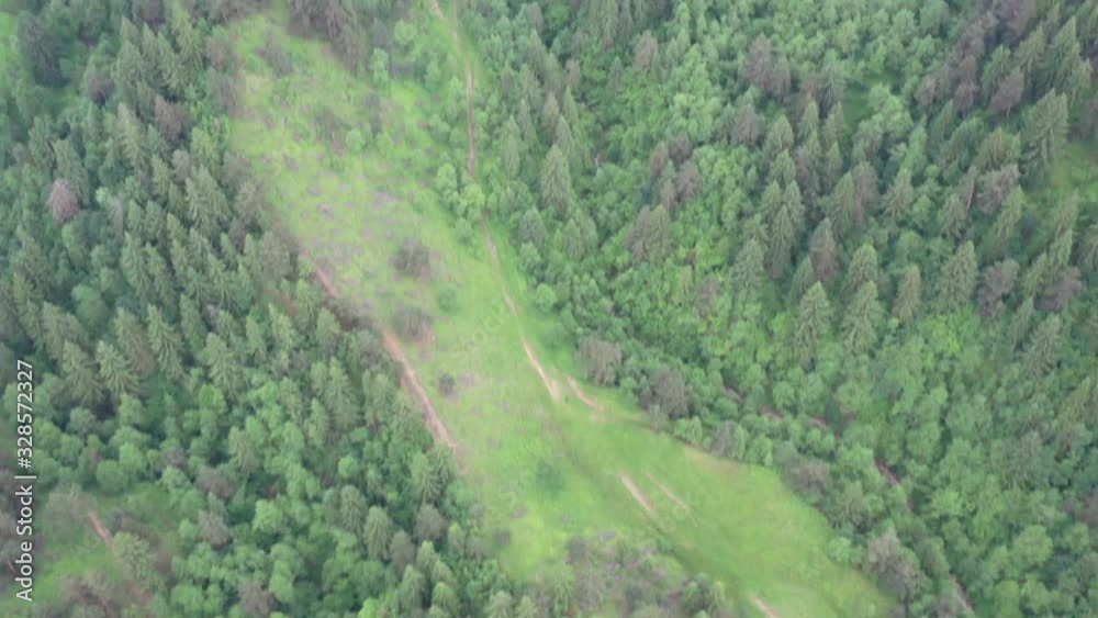 Green pasture and forest tree, viewed from above, summer aerial view Green pasture and forest tree, viewed from above, summer aerial view