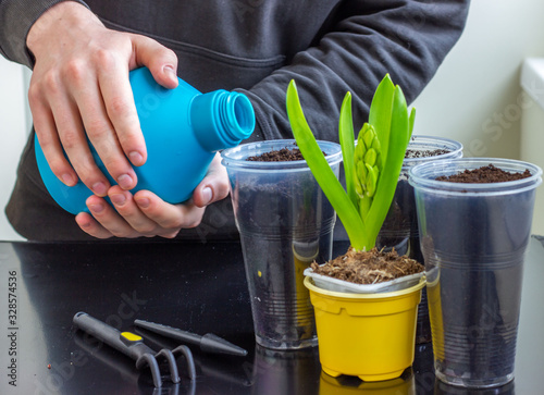 Men’s hands pour water from a plastic bottle into a container with soil for growing plants. Plastic pot for seedlings with earth. .
