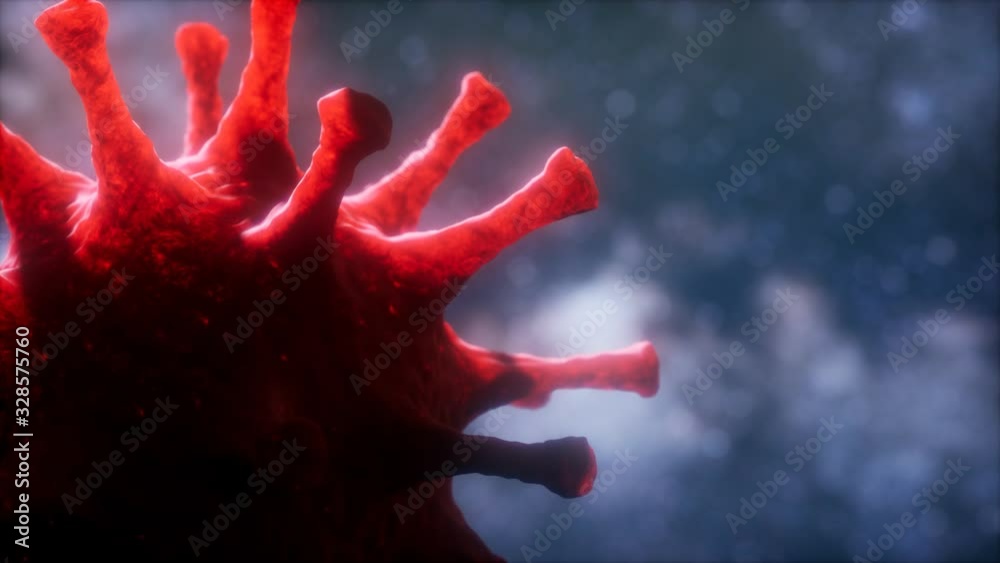 Virtual representation Macro model of Novel Coronavirus COVID-2019