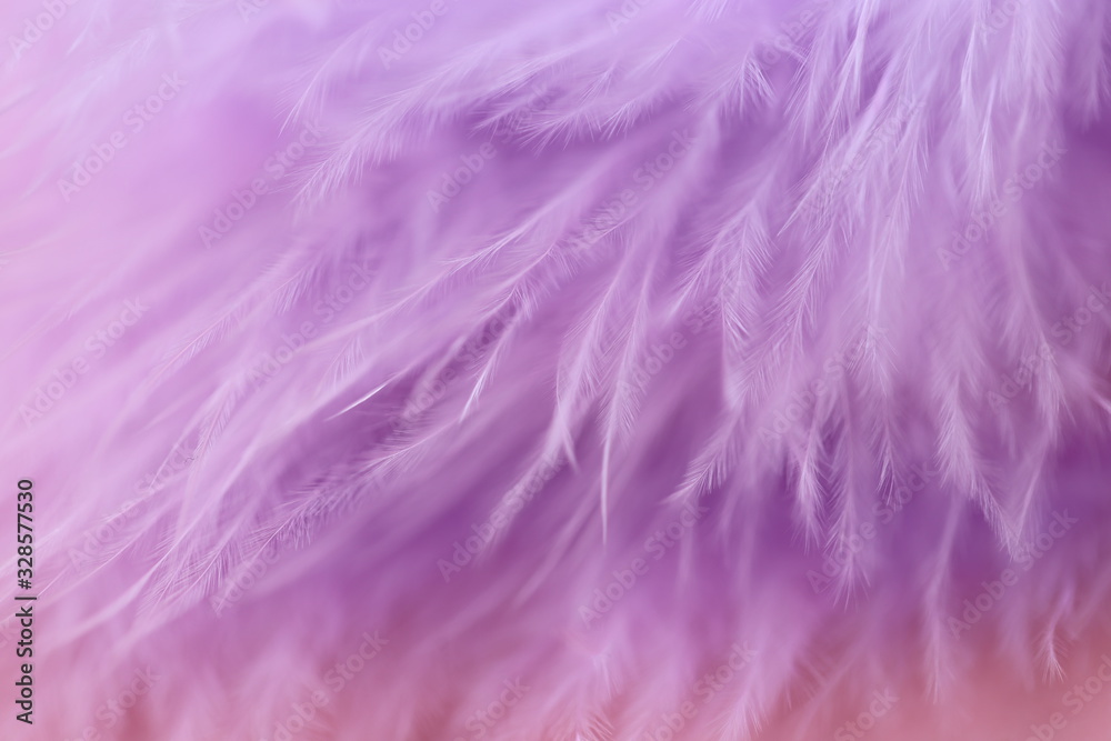 Feather macro texture. Purple feather soft focus background.Lilac fluffy feather on a pink blurry background.Purple fluff background. Feather macro texture. Purple feather soft focus background.Lilac fluffy feather on a pink blurry background.Purple fluff background.