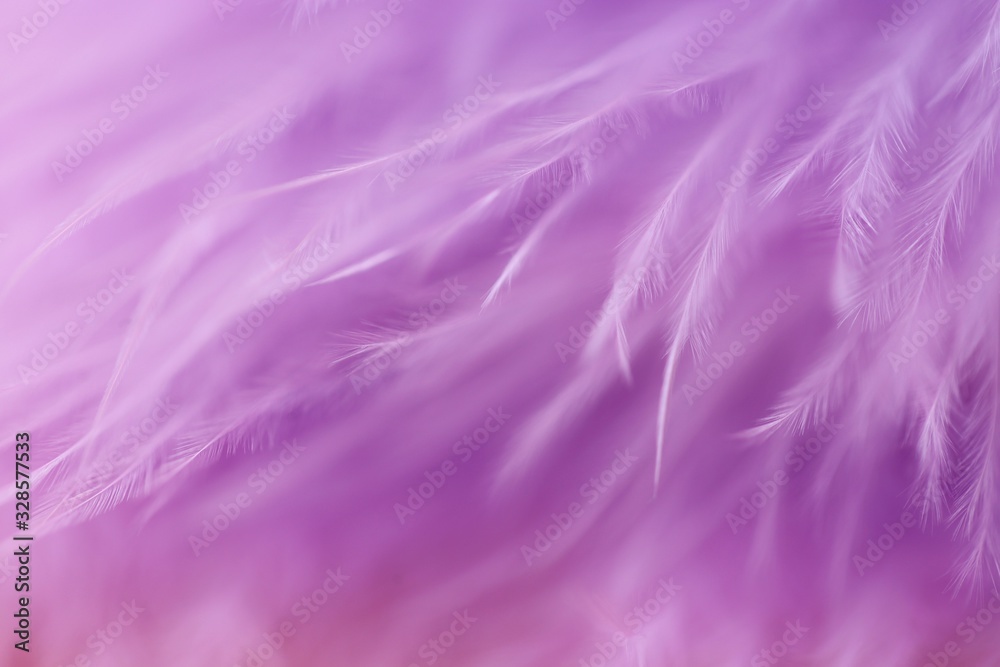 Feather macro texture. Purple feather soft focus background.Lilac fluffy feather on a pink blurry background.Purple fluff background.Feather close-up texture. Feather macro texture. Purple feather soft focus background.Lilac fluffy feather on a pink blurry background.Purple fluff background.Feather close-up texture.