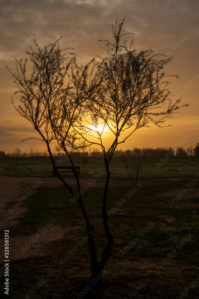 A beautiful sunrise in the Ebro Delta of Tarragona