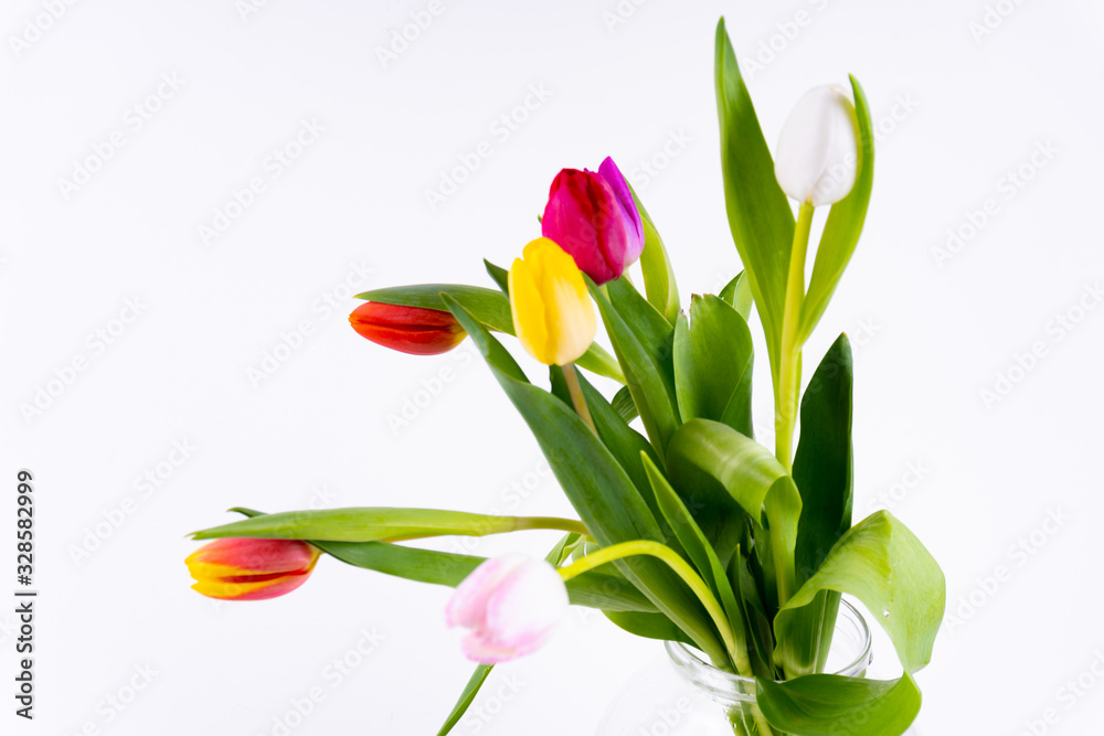 Colorful tulips in a vase on white background