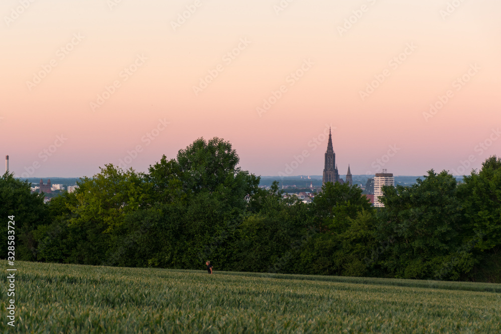 Abendrot über Stadt mit Gras