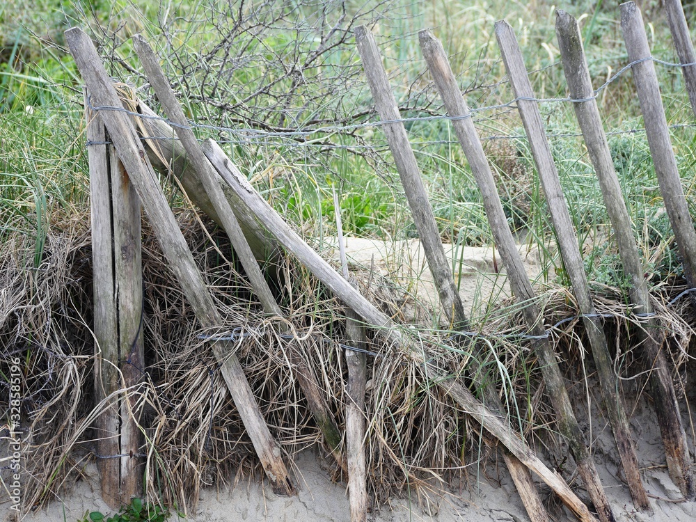 destroyed wooden fence with round posts and barbed wire, set in the sandy bottom of a wild herbaceous meadow with many dead plants destroyed wooden fence with round posts and barbed wire, set in the sandy bottom of a wild herbaceous meadow with many dead plants
