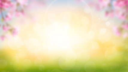 Pink cherry tree blossom flowers blooming in spring Easter sunrise for a Mothers Day background.