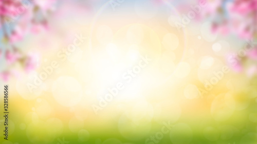 Obraz na płótnie Pink cherry tree blossom flowers blooming in spring Easter sunrise for a Mothers Day background. w salonie