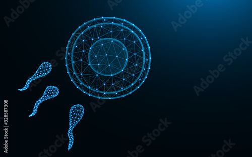 Sperm and egg made from points and lines on dark blue background, Fertilization wireframe mesh polygonal vector illustration