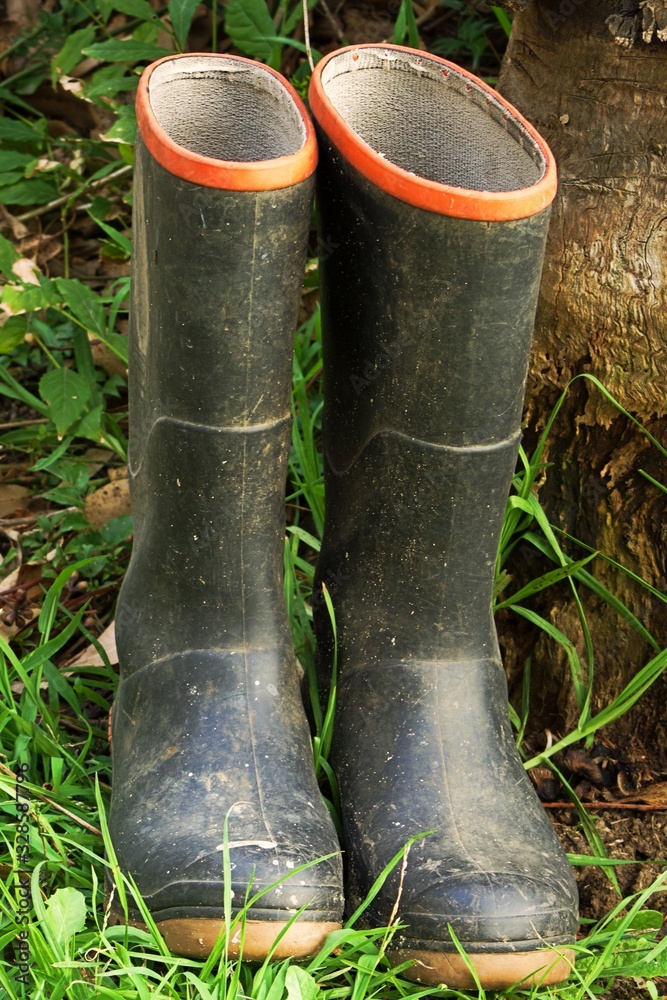 Pair of wellington boots in the grass next to a tree stump. Black gum boots with a red strip. The boots are muddy and dirty. Pair of wellington boots in the grass next to a tree stump. Black gum boots with a red strip. The boots are muddy and dirty.
