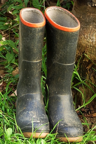 Pair of wellington boots in the grass next to a tree stump. Black gum boots with a red strip. The boots are muddy and dirty.