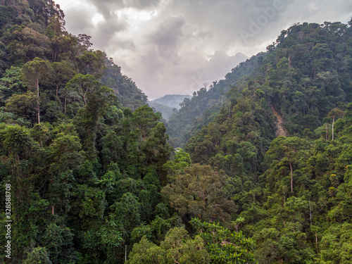 Regenwald in Bukit Lawang Sumatra