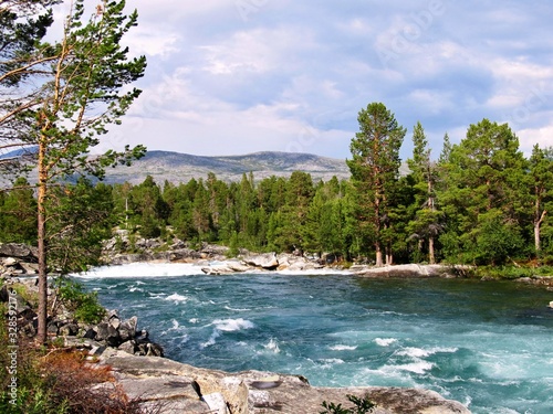 Norwegian wild river in the forest