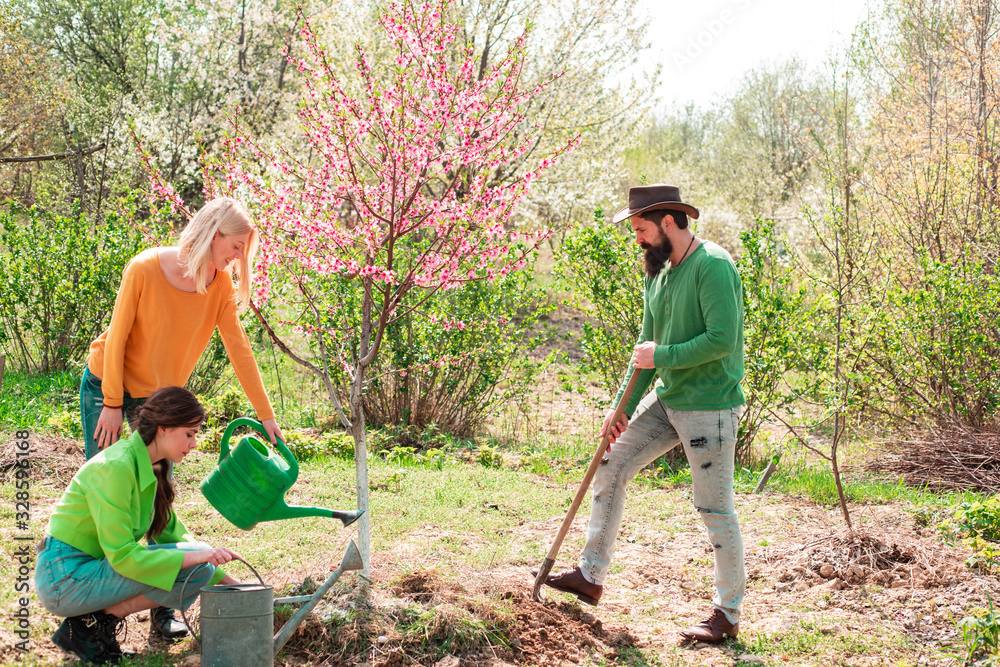 Girl watering plants in the garden at spring sunny day. Group of youth work in spring yard with garden tools. Friends plants and grows plants. Man plants a tree, hands with shovel digs the ground Girl watering plants in the garden at spring sunny day. Group of youth work in spring yard with garden tools. Friends plants and grows plants. Man plants a tree, hands with shovel digs the ground