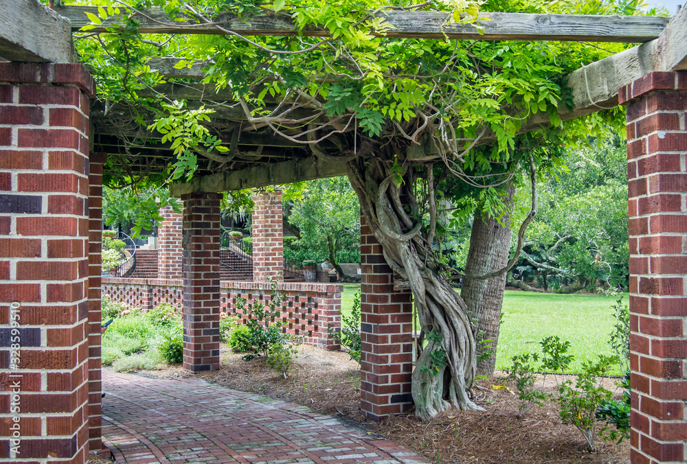 Brick walkway with an ivy-filled covering