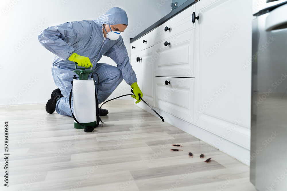 Obraz premium Exterminator Spraying Pesticide In Kitchen
