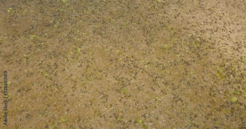 Aerial view of the coral reef of Algodões beach, on the Maraú peninsula, one of the most popular tourist destinations in the state of Bahia. Brazil Aerial view of the coral reef of Algodões beach, on the Maraú peninsula, one of the most popular tourist destinations in the state of Bahia. Brazil