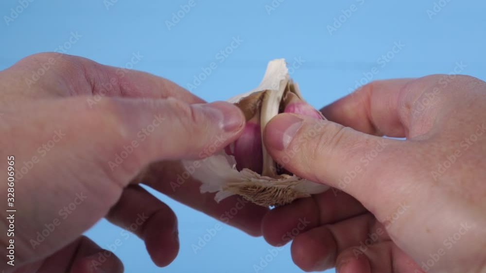 Hands of a young man share cloves of garlic on a blue wooden background. Cooking Spiced Dishes Hands of a young man share cloves of garlic on a blue wooden background. Cooking Spiced Dishes