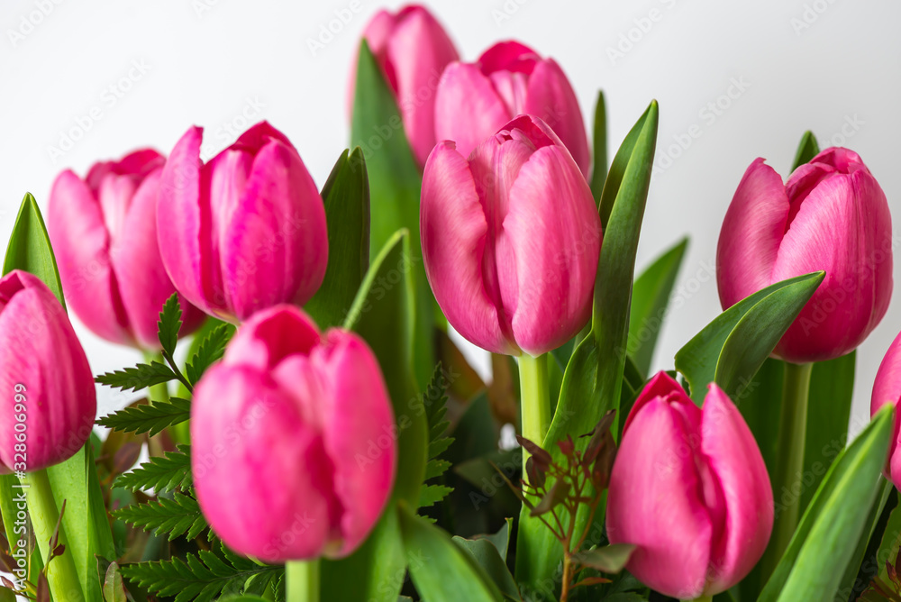 Group of beautiful pink tulips