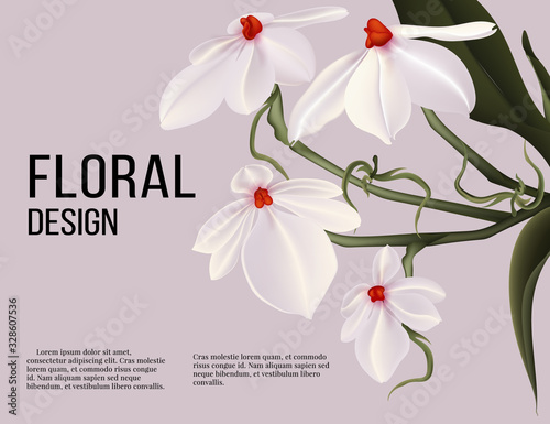 Rhodosticta realistic vector flower card with text poster, wedding design, holiday greeting postcard composition. Aerangis luteo alba design in vector