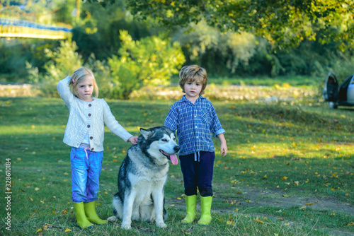 Funny children boy and girl with dog walk together on green hill. Adventure and vacations children concept. Children are hiking together with pet dog. Happy childhood moments.
