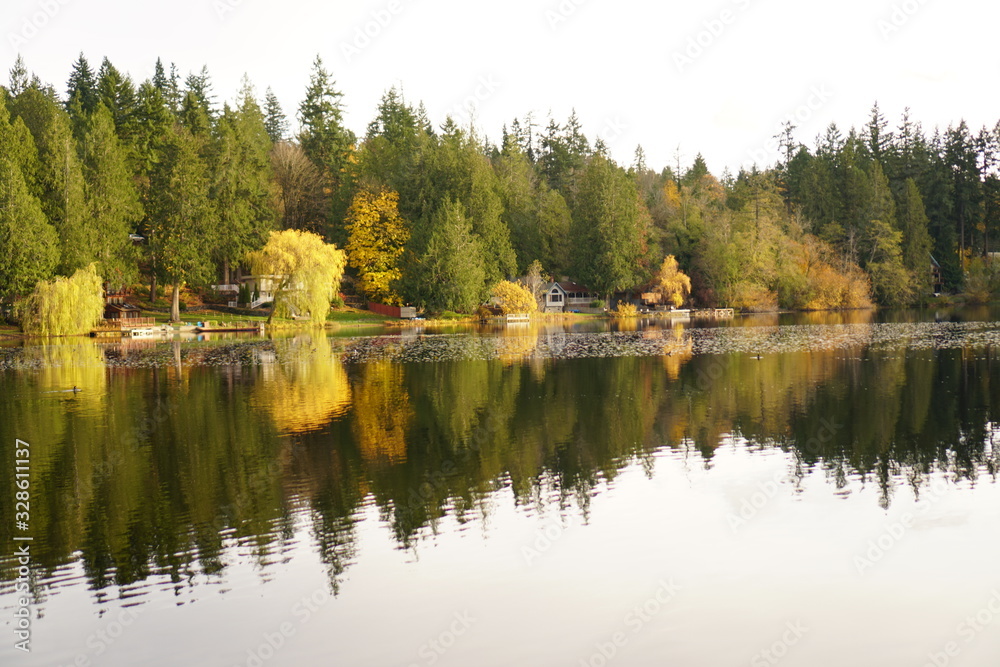 lake in the park lake in the park
