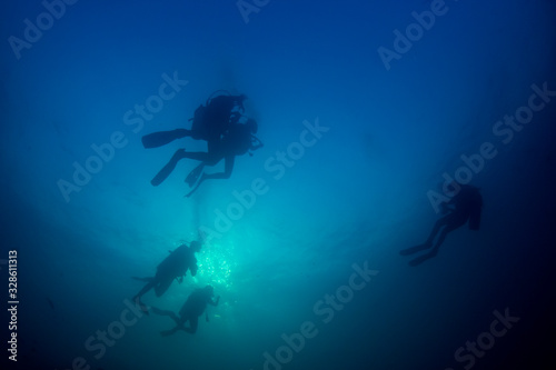 Scuba diving underwater. Scuba divers and fish silhouette against ocean surface  © Richard Carey