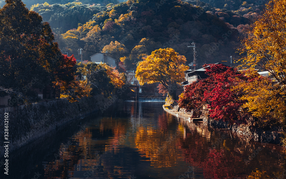 Fototapeta premium landscape with trees
