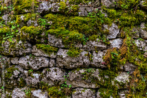 A wide angle shot of an old abandoned stone wall covered in moss and plants