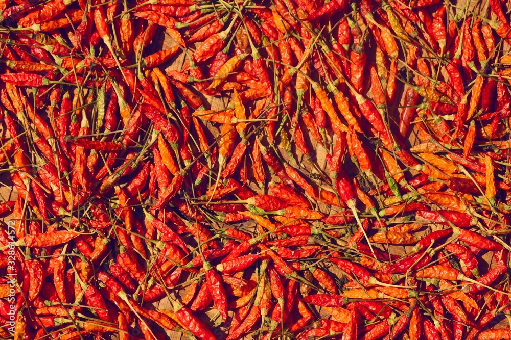 Red chilli peppers drying on the sun.