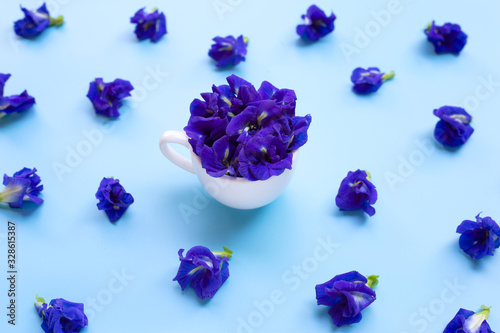 Blue butterfly pea flower with cup on blue background.