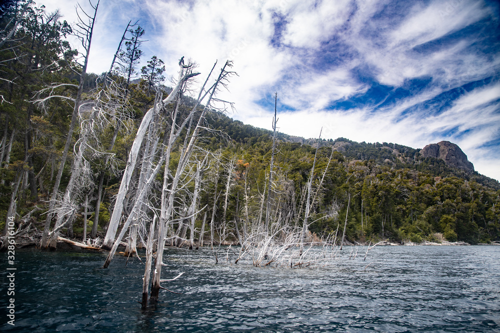 Fototapeta premium The submerged forest in Lake Traful, Patagonia Argentina. Some versions warn of a possible slope of the mountain slope and a potential tsunami