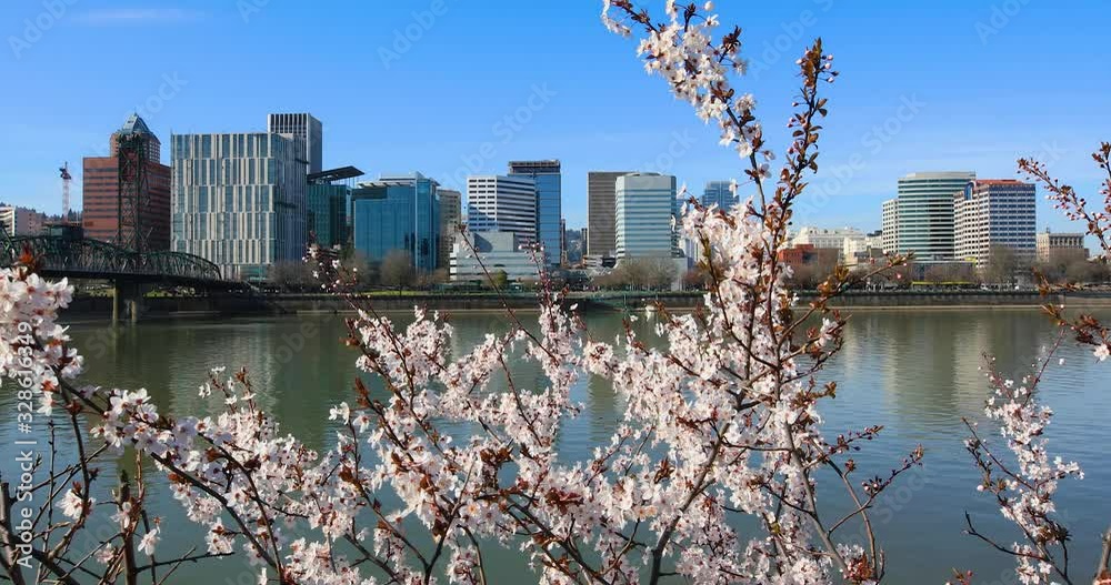 A warm early spring day on the waterfront in Portland, Oregon in 2020.