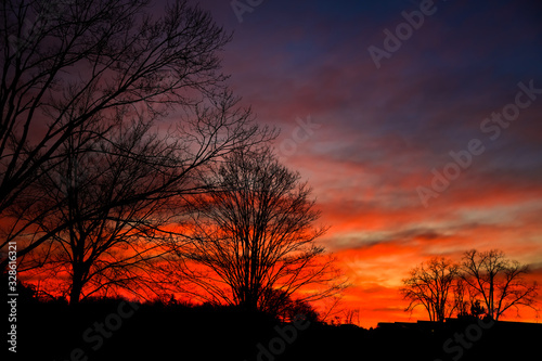 Trees against flaming sky after sunset