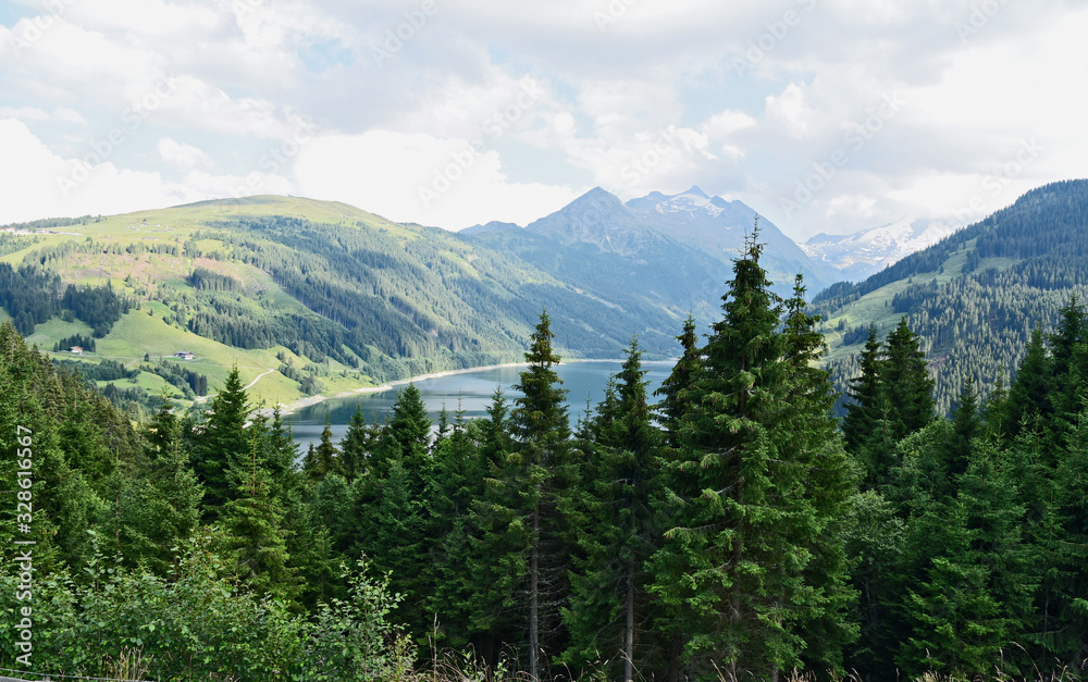 The View on the way in the summer with green trees and mountain at Tirol