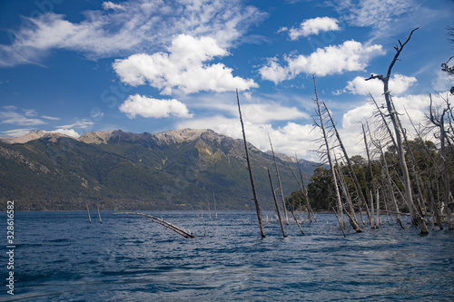 The submerged forest in Lake Traful, Patagonia Argentina. Some versions warn of a possible slope of the mountain slope and a potential tsunami
