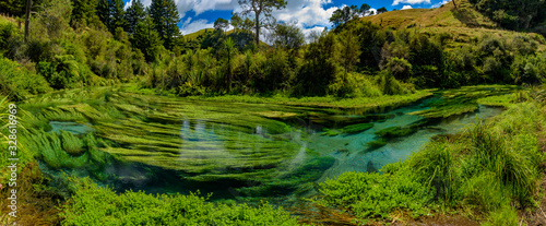 Panorama of Blue Spring, the river with the purest water in New Zealand, Te Waihou Walkway, Hamilton, Waikato photo