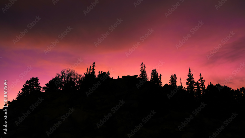 Red evening skies over pine trees