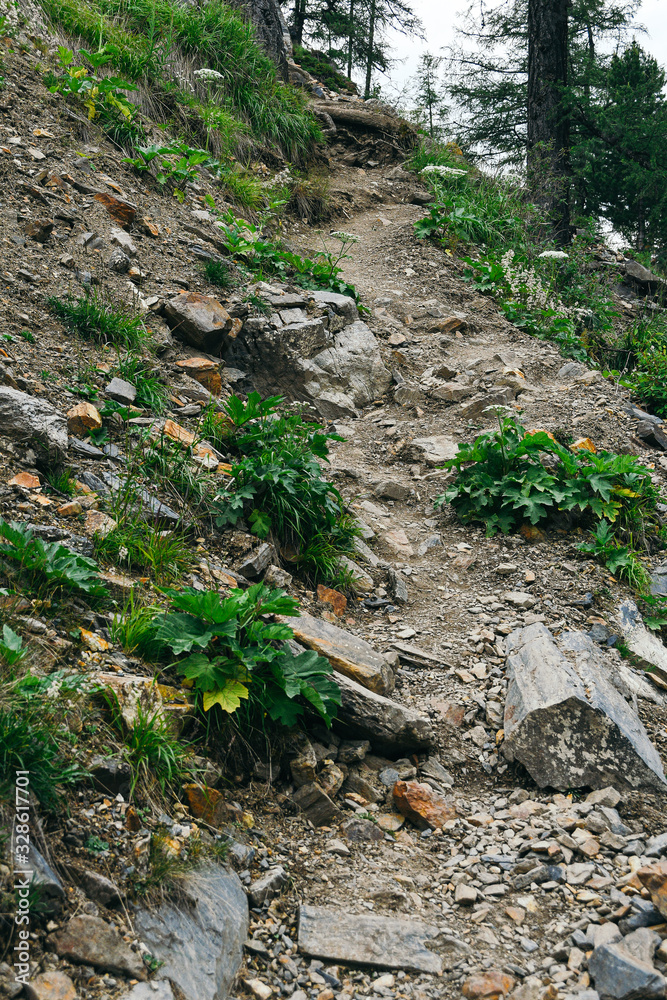 lonely stone path among trees and rocks, hiking in mountains, traveling through valley