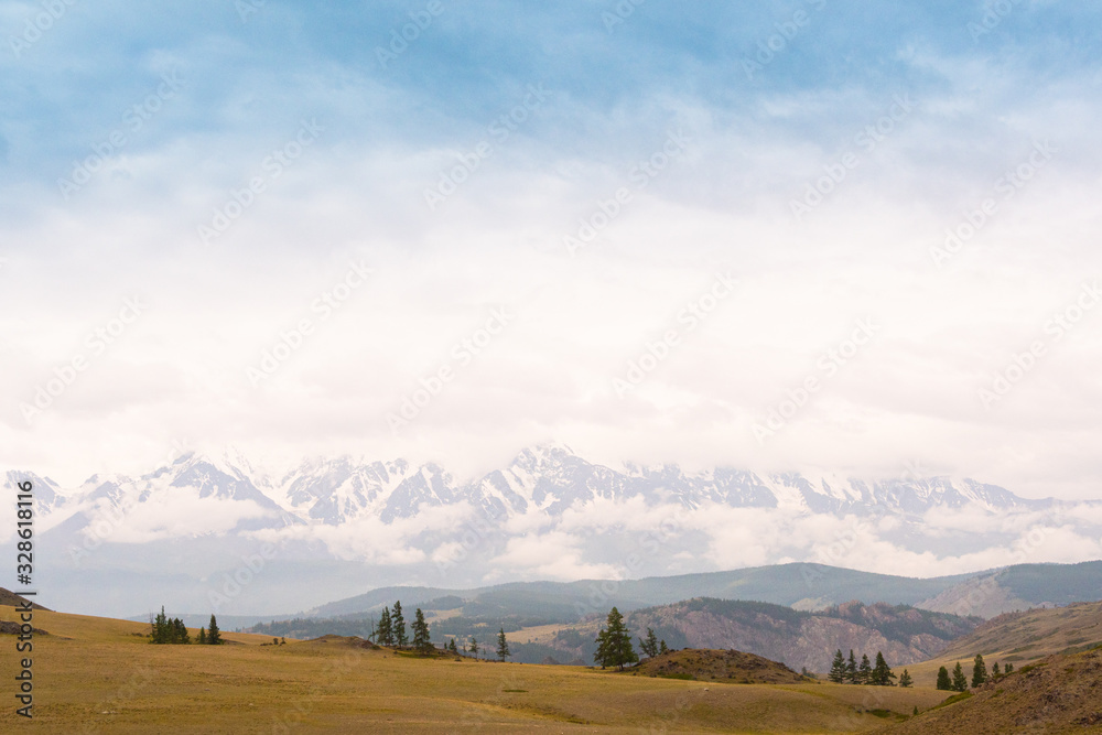Fototapeta premium Pine grove in mountain valley. Ridge of rocks on horizon under clouds, Hiking in steppes