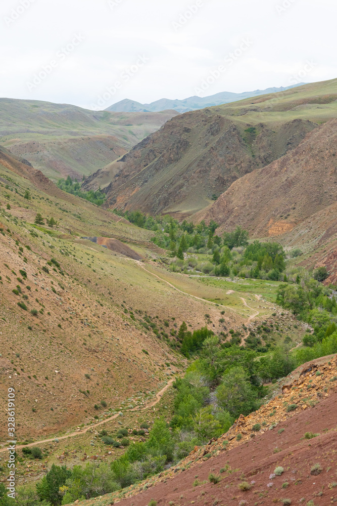 mountain canyon with red soil, river valley with gorges and green trees, soil erosion, formation of ravines from drought