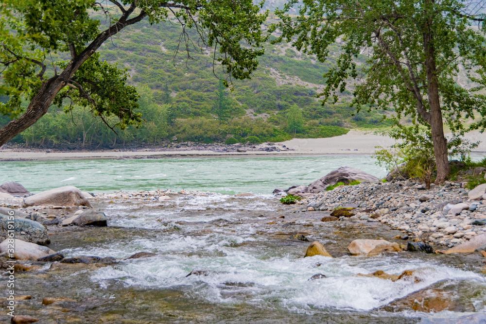 tree leaned over water, swift current of stream in rocky bed, mountain river on sunny day tree leaned over water, swift current of stream in rocky bed, mountain river on sunny day